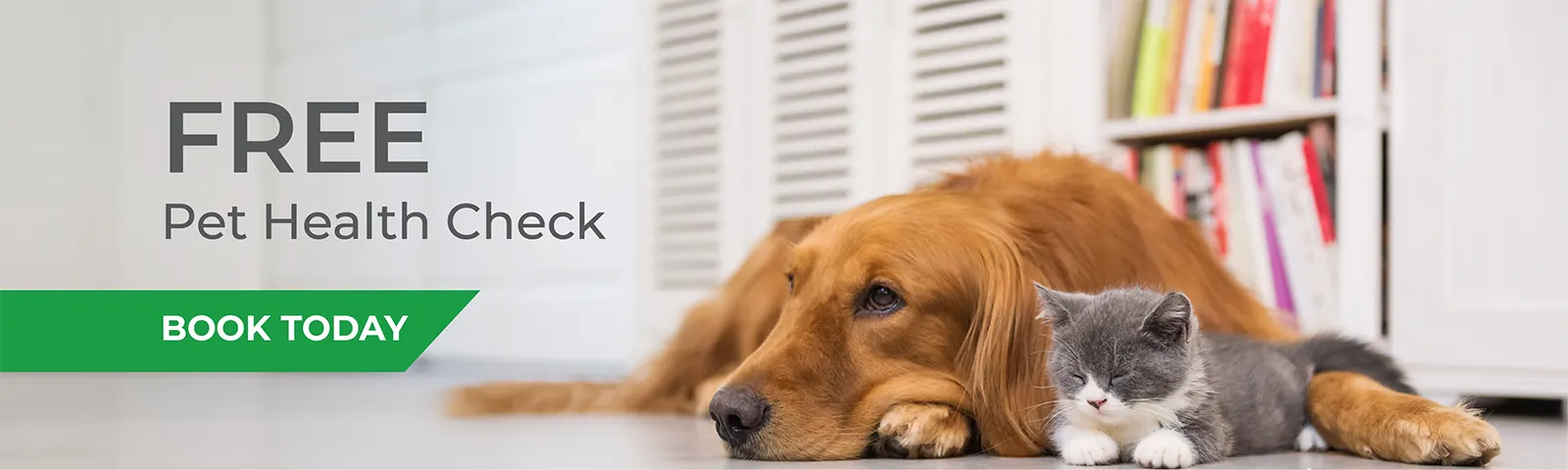 vv-free-pet-health-check-1600